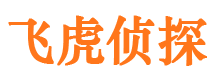 白沙市私家侦探